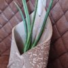 Postkuvert zum Bepflanzen, Wandhänger für Pflanzen, Pflanztasche ohne Loch, originelle Keramiktasche zum Bepflanzen, Clay Art, besondere Keramik Geschenke, KeraMik von Herz zu Herz